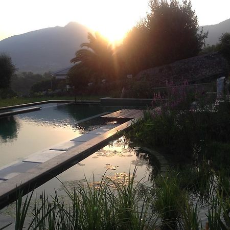 Tenuta Margherita Pension Salò Buitenkant foto